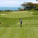 Pflegemaßnahmen: Der perfekte Rasen zum Golfen - golfhotels.info