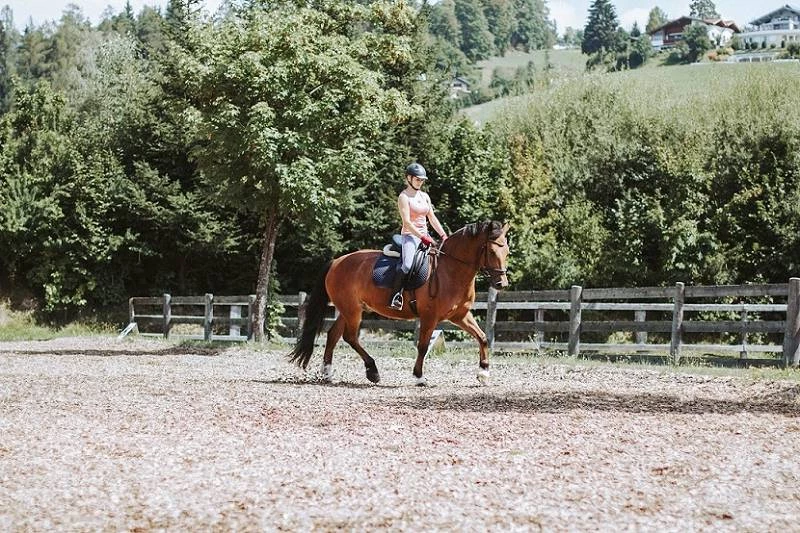 Gut Weissenhof-Reiten
