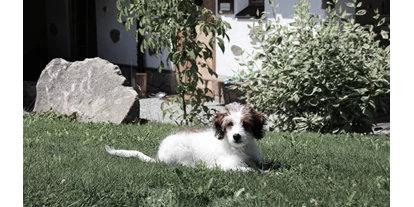 Golfurlaub - Dampfbad - Fürsteneck - INNs HOLZ hundefreundliches Chaletdorf Urlaub mit Hund im Sommer - INNs HOLZ Chaletdorf