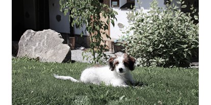 Golfurlaub - Haartrockner - Pürnstein - INNs HOLZ hundefreundliches Chaletdorf Urlaub mit Hund im Sommer - INNs HOLZ Chaletdorf