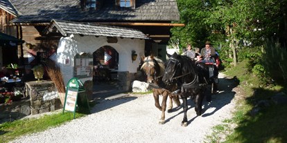 Golfurlaub - Golfcarts - Kühweg (Hermagor-Pressegger See) - Pferdekutschen-Erlebnisfahrten - Hotel GUT Trattlerhof & Chalets****