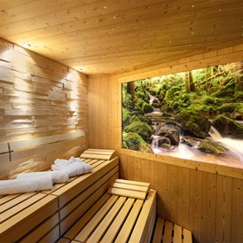 Golfhotel: Bio-Sauna - Hotel Grüner Wald