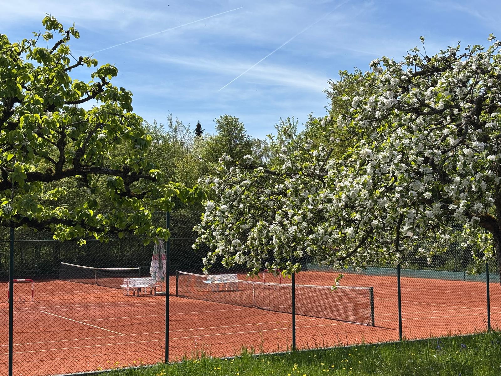Golfhotel: Tennisplätze am Hotelpark - Flair Park-Hotel Ilshofen