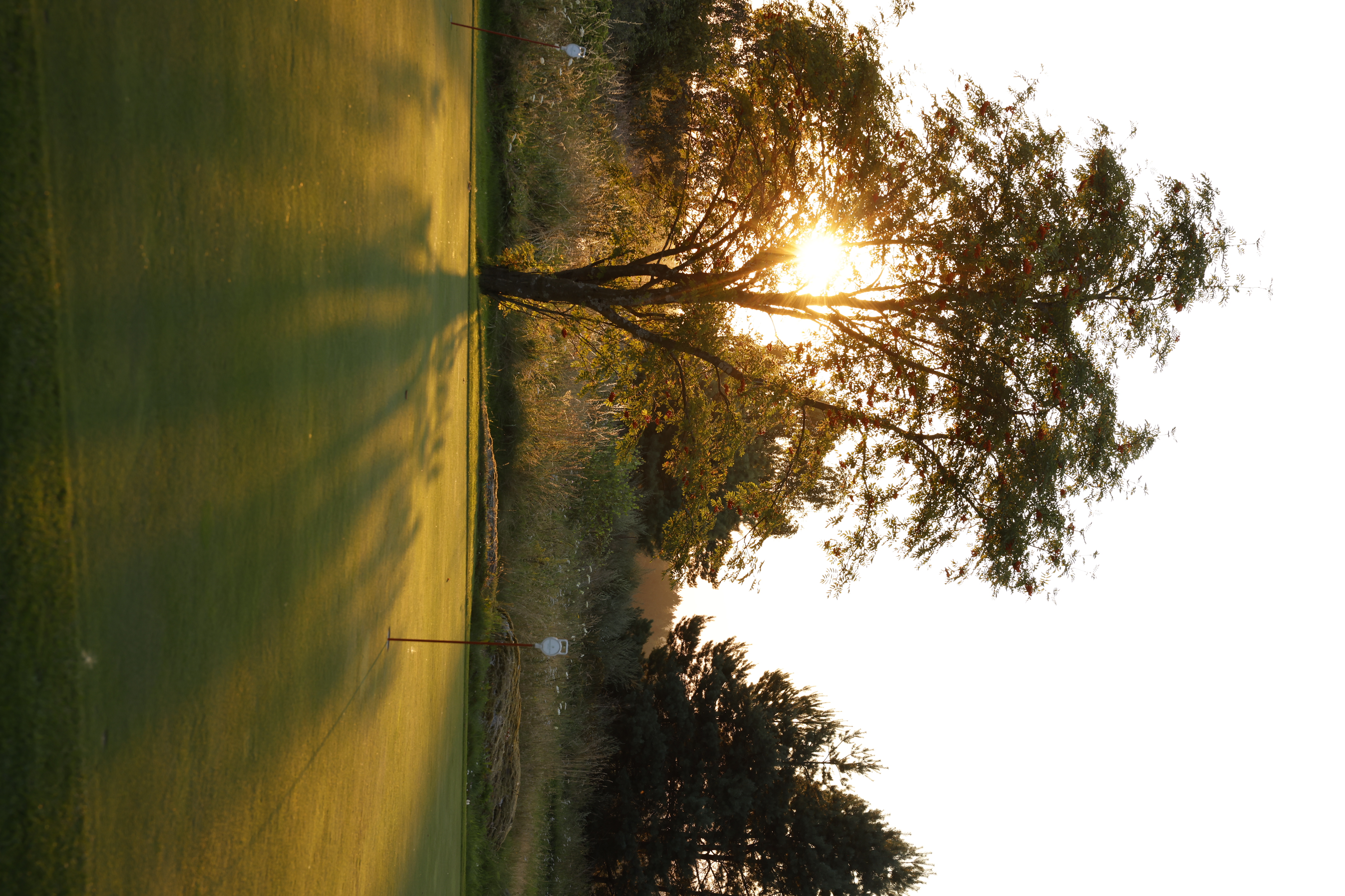 Golfhotel: Golfresort Haugschlag