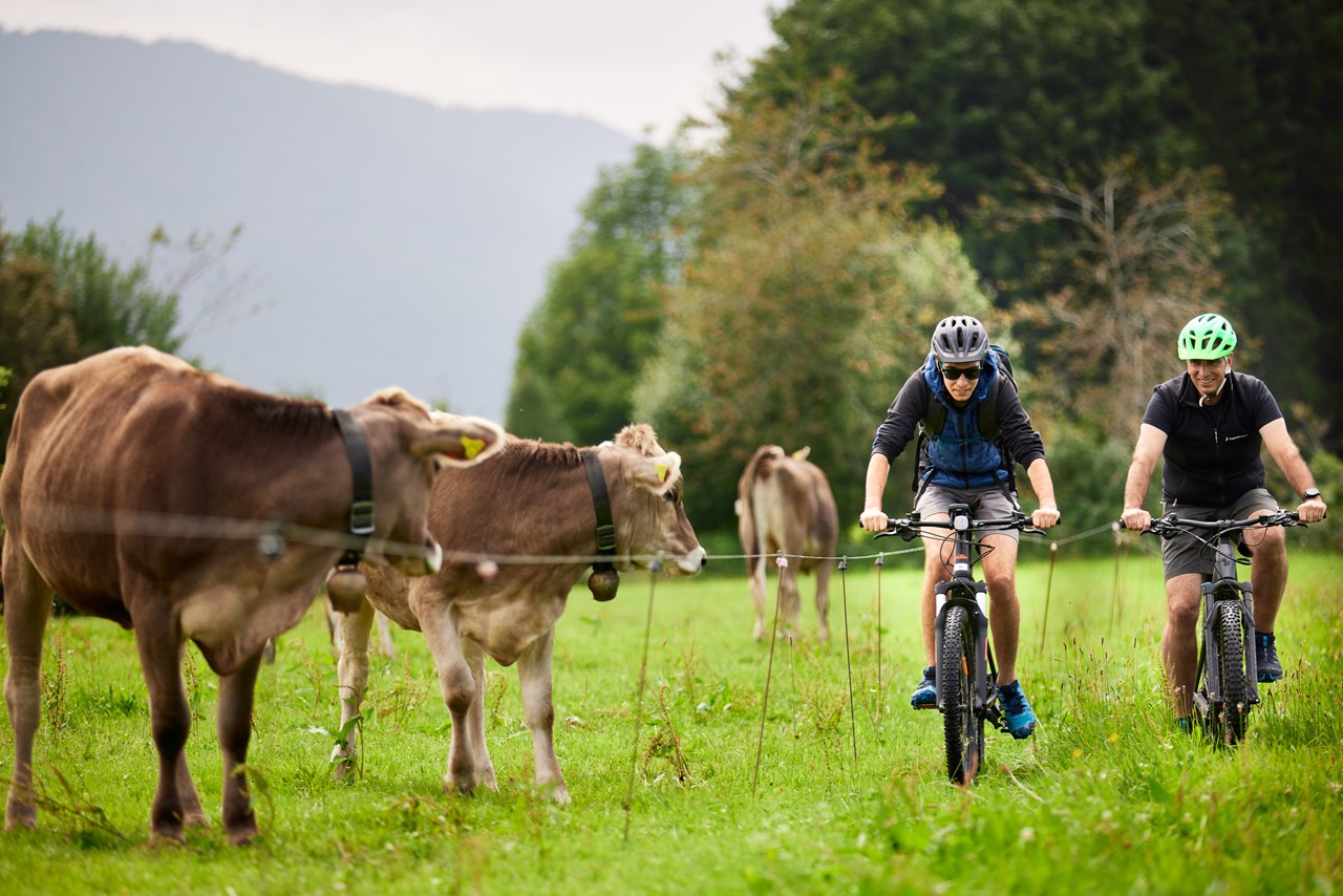 Hanusel Hof Ausflugsziele Sommer-Ausflugsziele