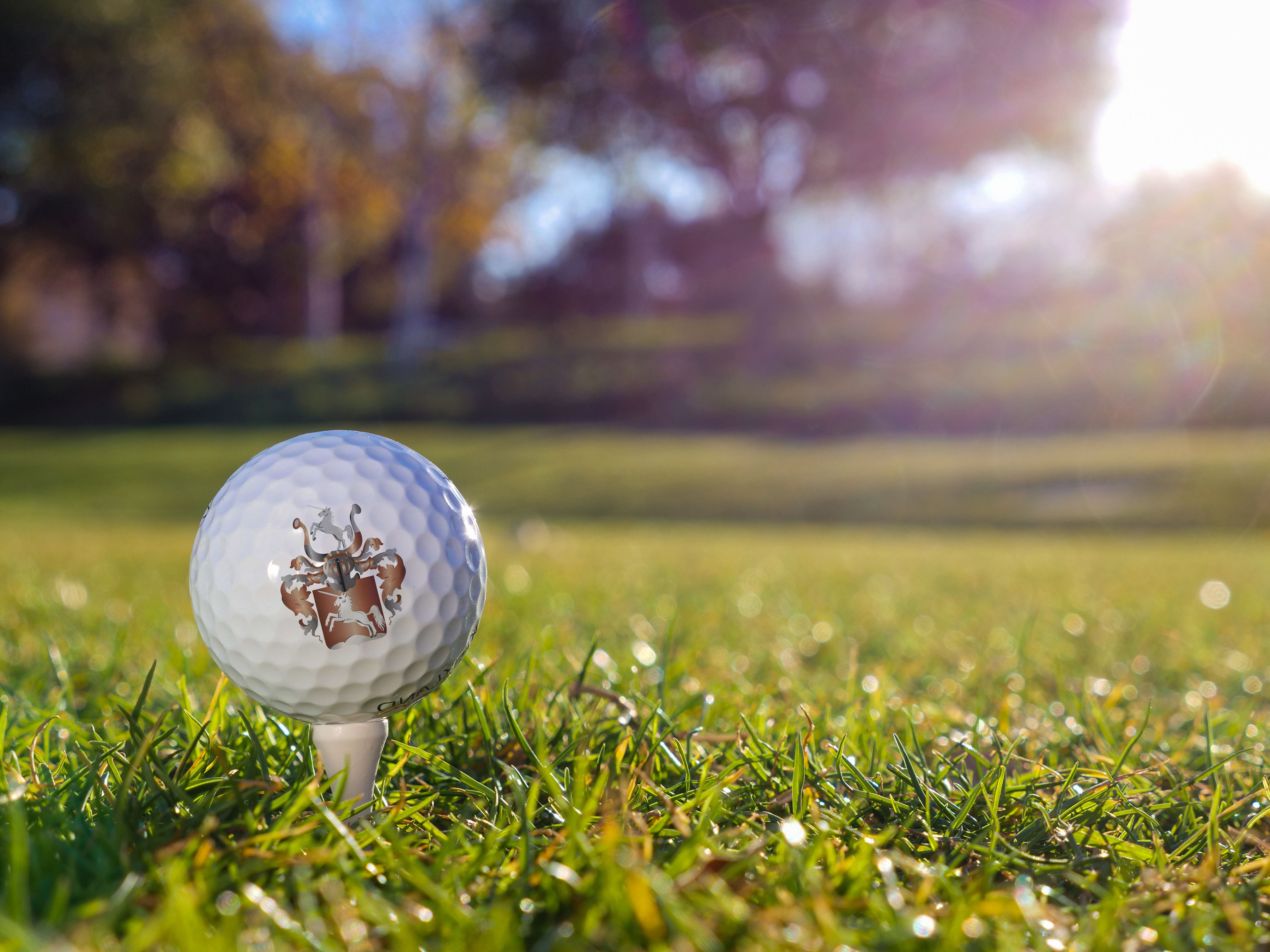 Golfhotel: Golf - Gutshofhotel Winkler Bräu