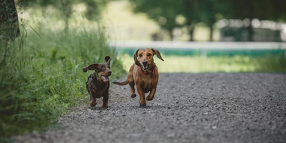 Golfurlaub - Fahrstuhl - Dackeldame Emma und Dackel Kurt - Gut Steinbach Hotel Chalets SPA