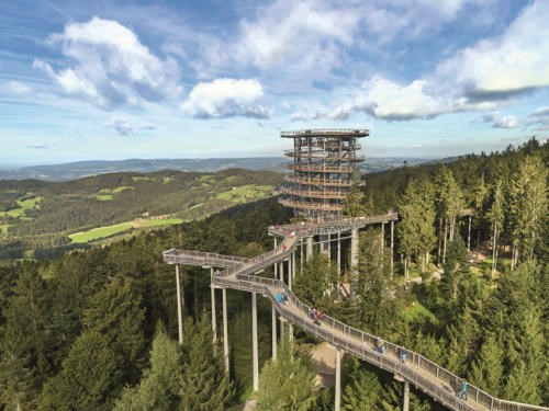Bachhof Resort Straubing - Hotel und Apartments Ausflugsziele Waldwipfelweg St. Englmar