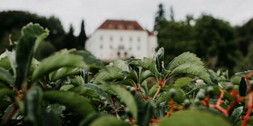 Golfurlaub - Niederösterreich - Schoss Ernegg von IvoryRosePhotography - Schloss Ernegg
