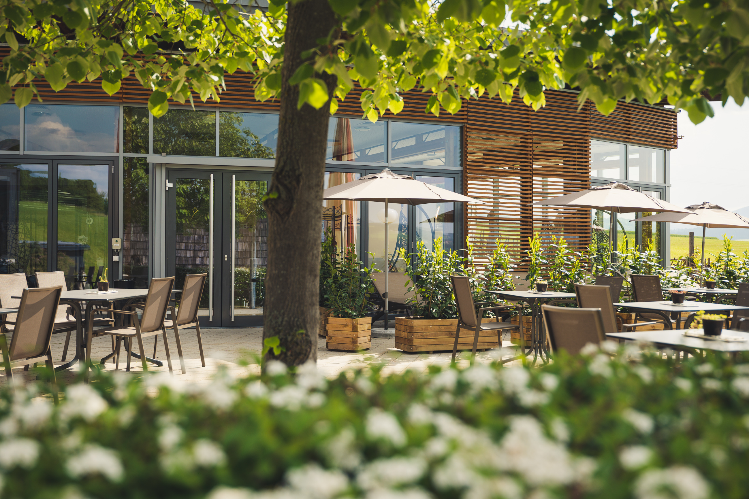 Golfurlaub - Umgebungsschwerpunkt: See - Vital-Hotel-Styria