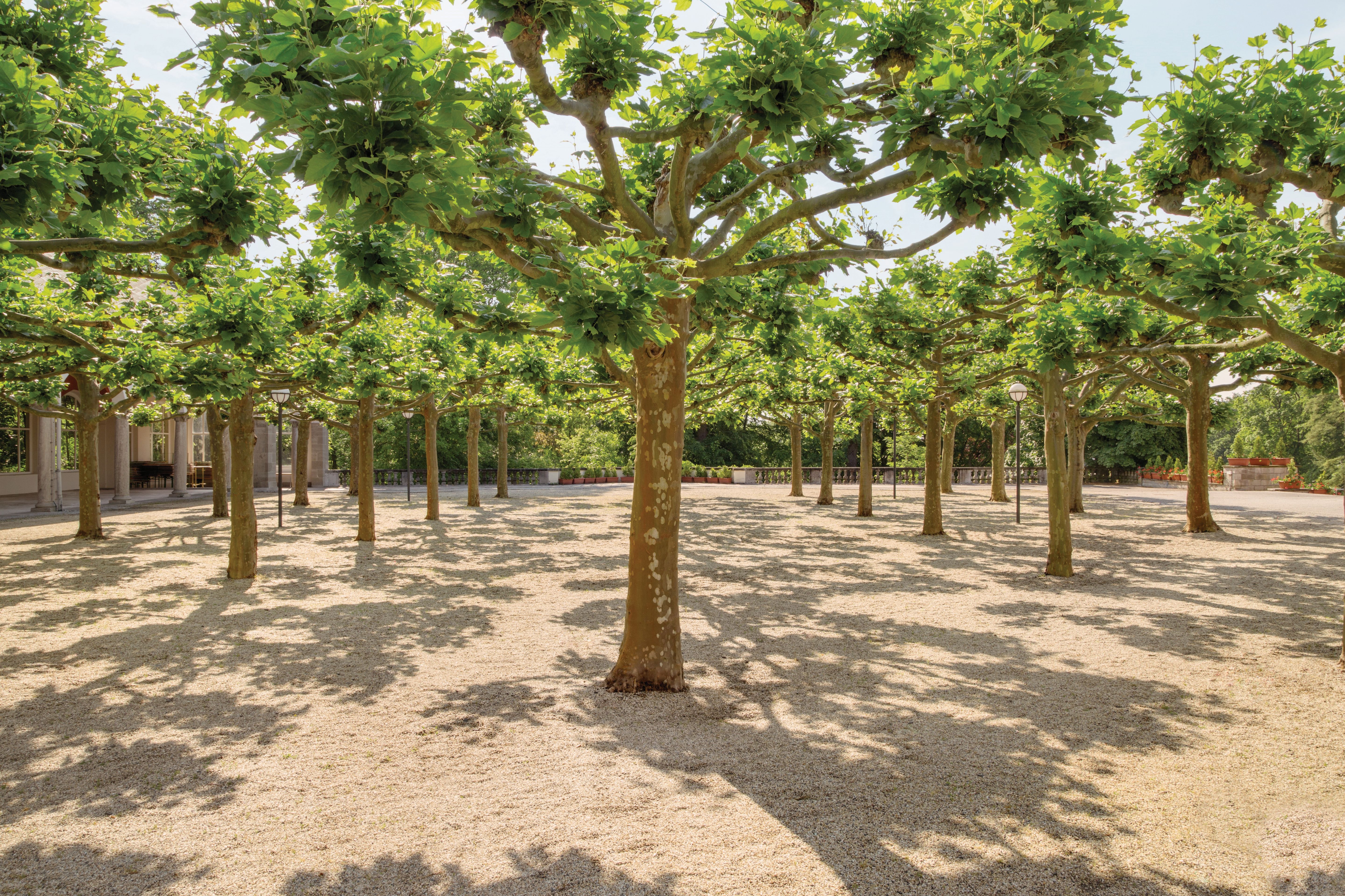 Golfhotel: Dolce by Wyndham Bad Nauheim