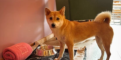 Golfurlaub - PLZ 6707 (Österreich) - Hunde willkommen - Hotel Goldener Berg
