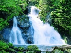 Hotel Federwerk Ausflugsziele Triberger Wasserfälle