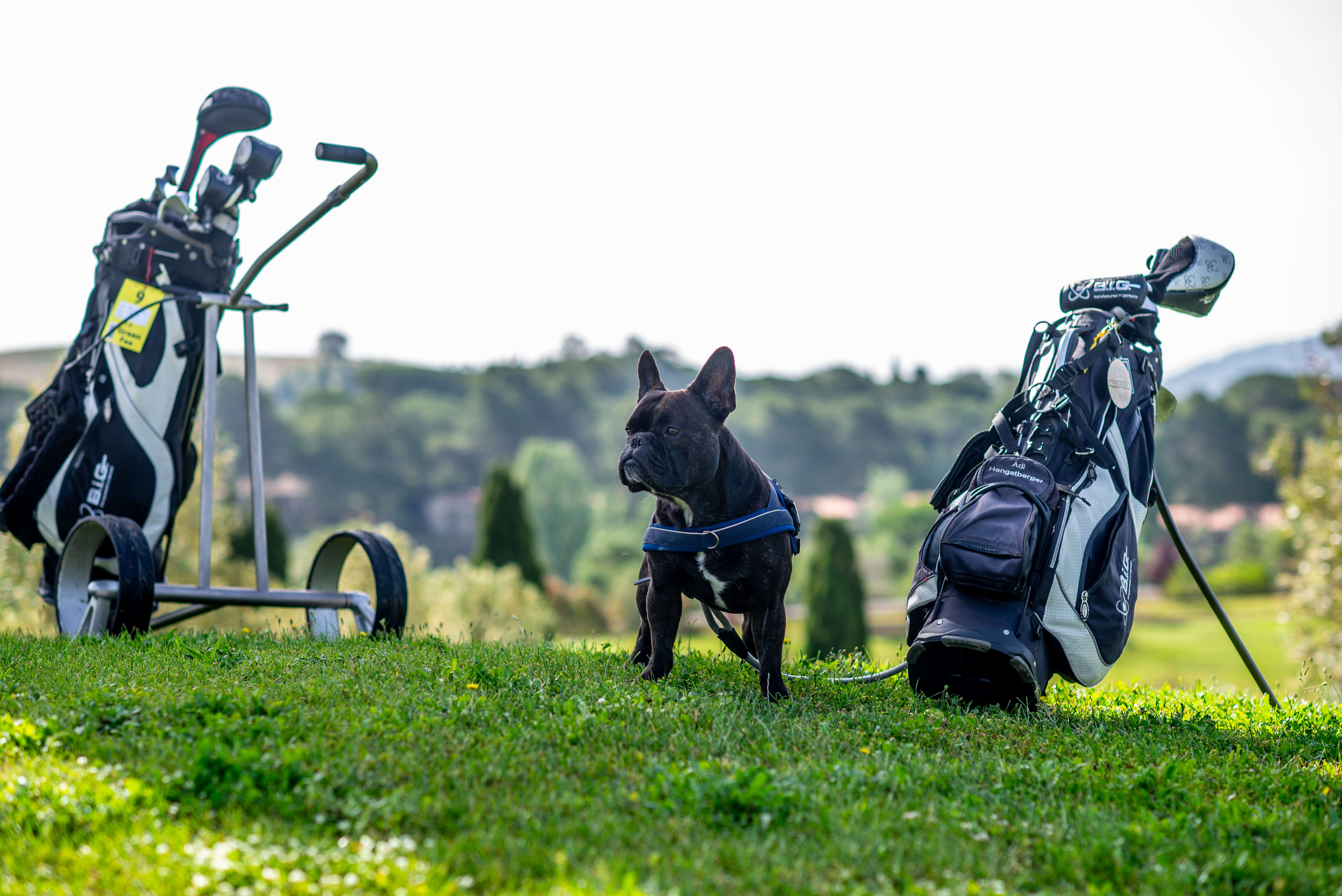 Golfhotel: Il Pelagone Hotel & Golf Resort Toscana