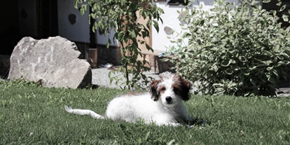 Golfurlaub - Sauna - INNs HOLZ Natur- & Vitalhotel****s Urlaub mit Hund - INNs HOLZ Natur- & Vitalhotel****s