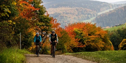 Golfurlaub - Restaurant - Entdecken Sie das Erzgebirge bei einer E-Bike Tour (bei uns auszuleihen) - Hotel Am Kurhaus