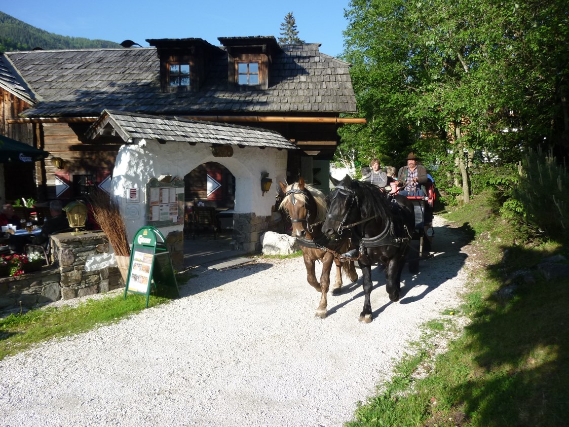 Golfhotel: Pferdekutschen-Erlebnisfahrten - Hotel GUT Trattlerhof & Chalets****