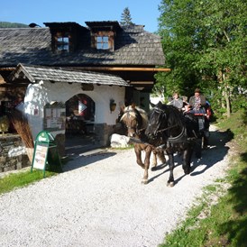 Golfhotel: Pferdekutschen-Erlebnisfahrten - Hotel GUT Trattlerhof & Chalets****