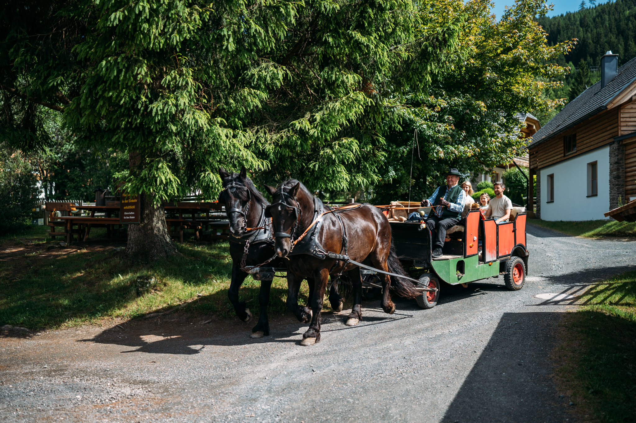 Golfhotel: Pferdekutschen Erlebnisfahrten - Trattlers Hof-Chalets