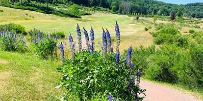 Golfurlaub - Restaurant - Golfpark Weiherhof 27 Loch Anlage  - Restaurant Niedmühle | Land & Genuss Hotel