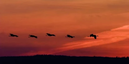 Golfurlaub - Fahrstuhl - Schloss Krugsdorf Hotel & Golf