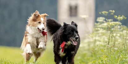 Golfurlaub - Restaurant - Hundefreundliches Hotel - Schwarzer Adler