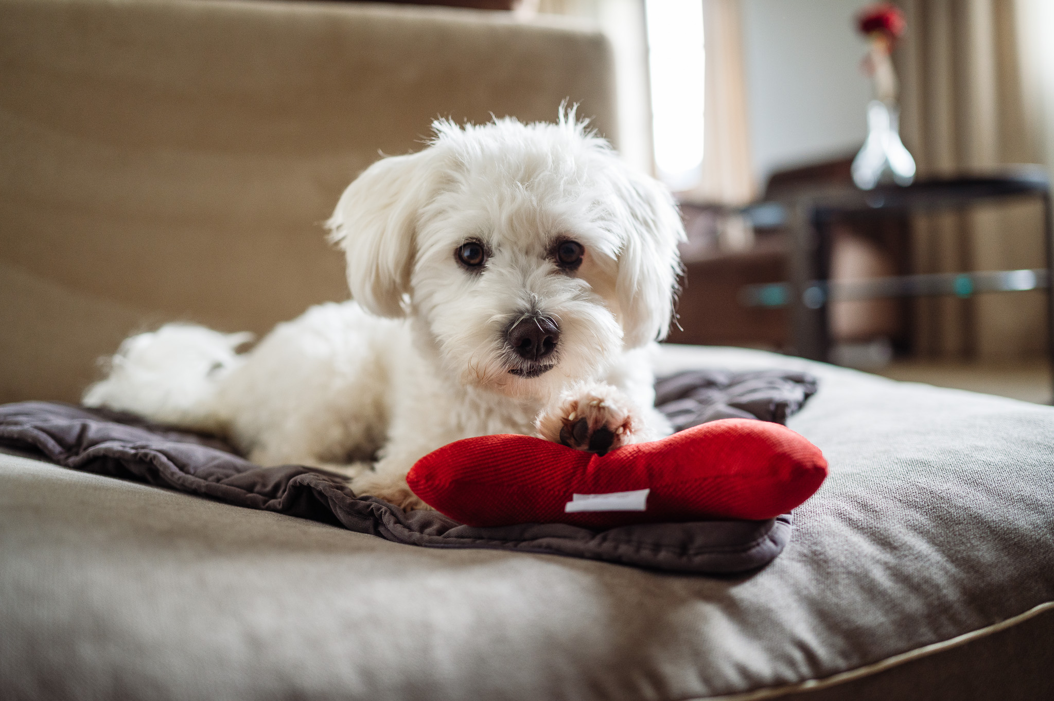 Golfhotel: Schlosshotel Kitzbühel