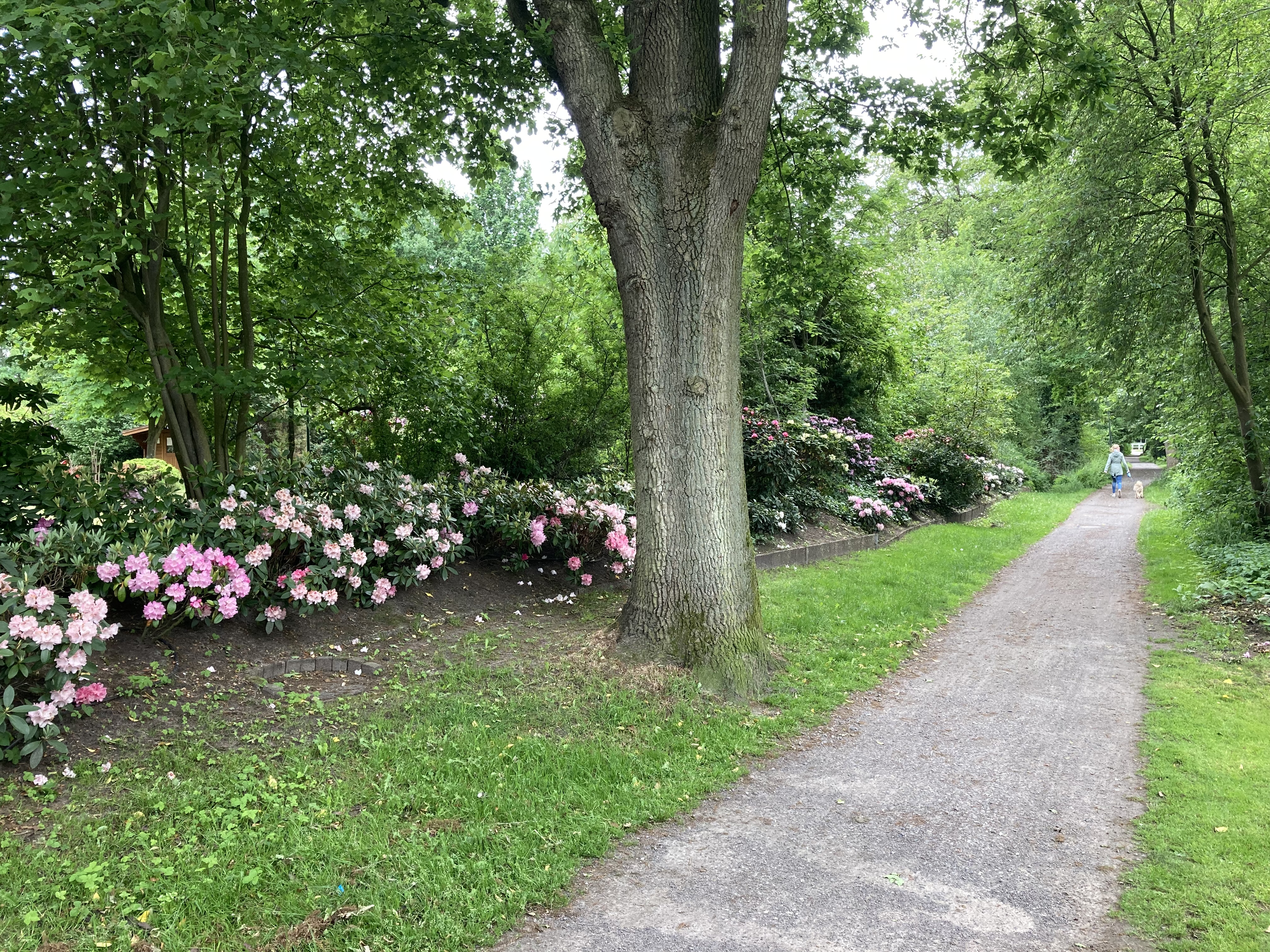 Golfhotel: Unser großer Garten - NordWest-Hotel "Amsterdam"