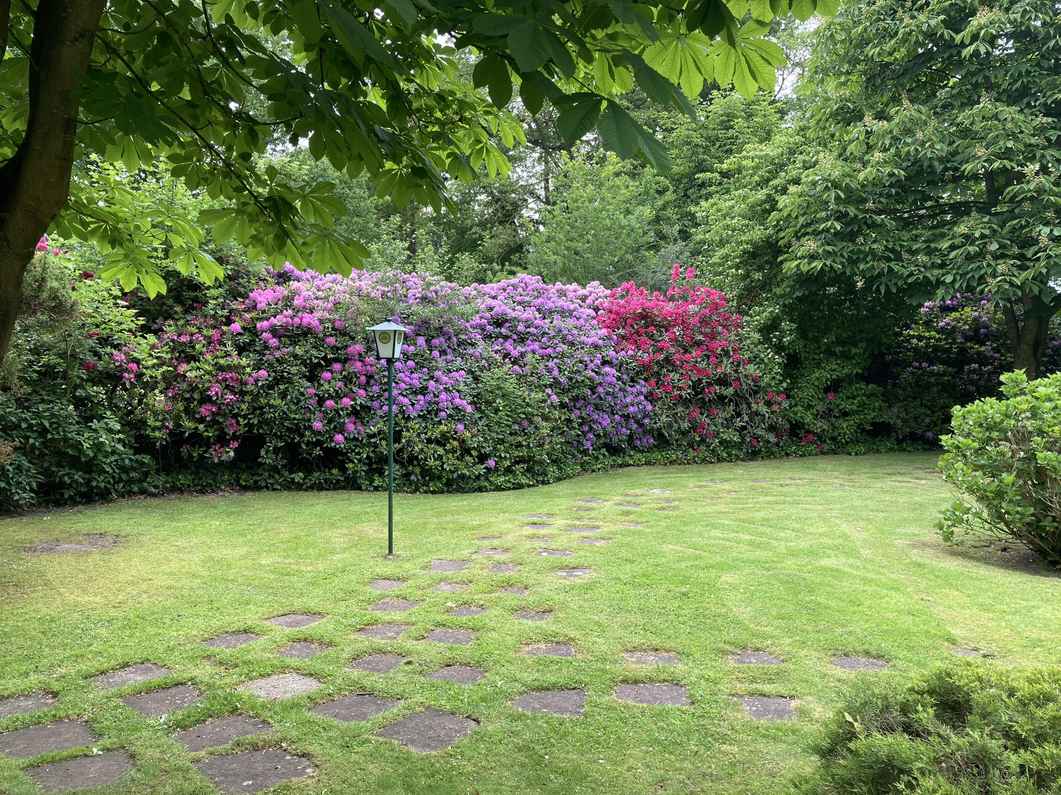 Golfhotel: Unser großer Garten mit blühender Rhododendron - NordWest-Hotel "Amsterdam"