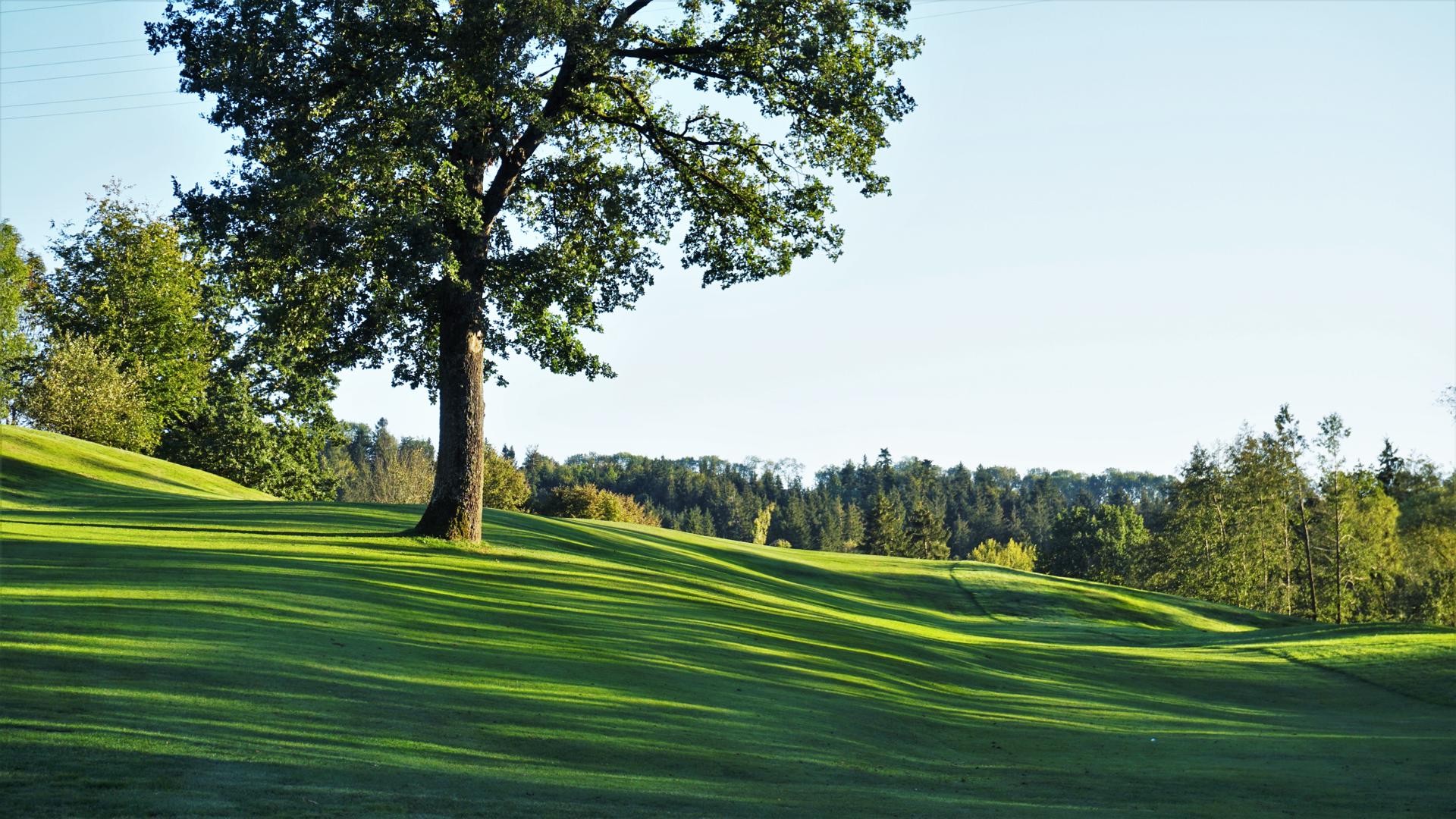Golfhotel: Hoteleigener Golfplatz - ANETSEDER - Landhotel, Lofts & Golf