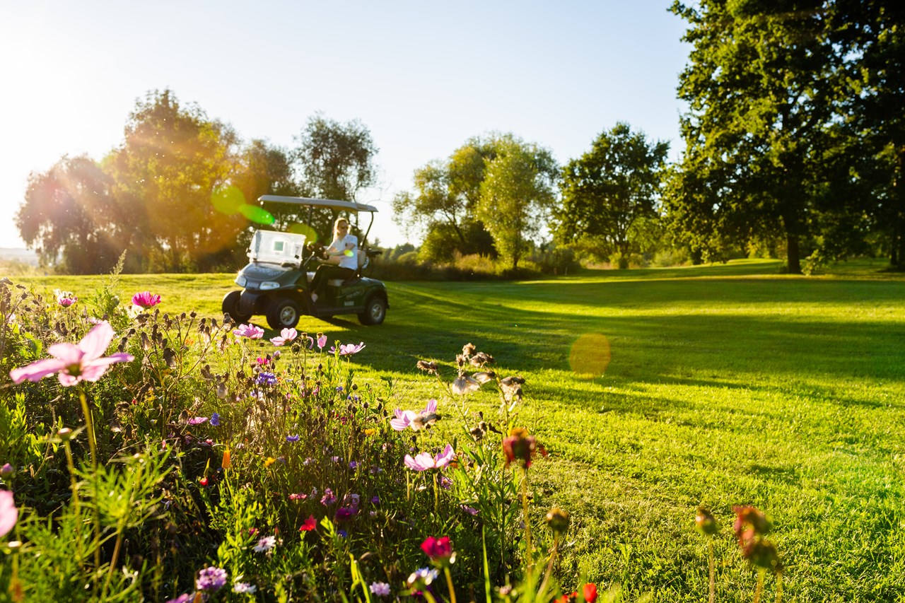 Hotel Drei Quellen Therme Golfeinrichtungen im Detail Golfclub Sagmühle