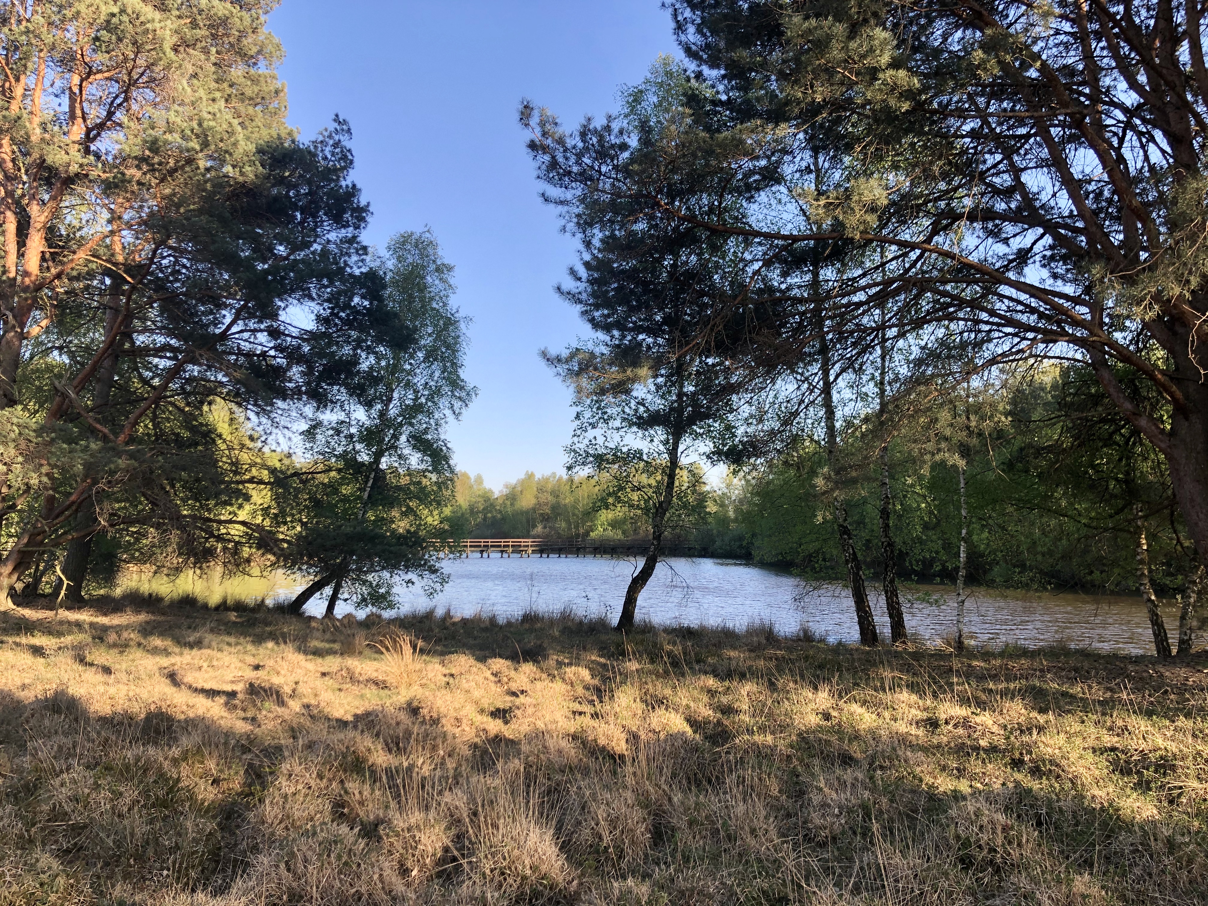 Golfhotel: Landschaft um das Hotel Heidegrund entlang der Thülsfelder Talsperre - Hotel Heidegrund