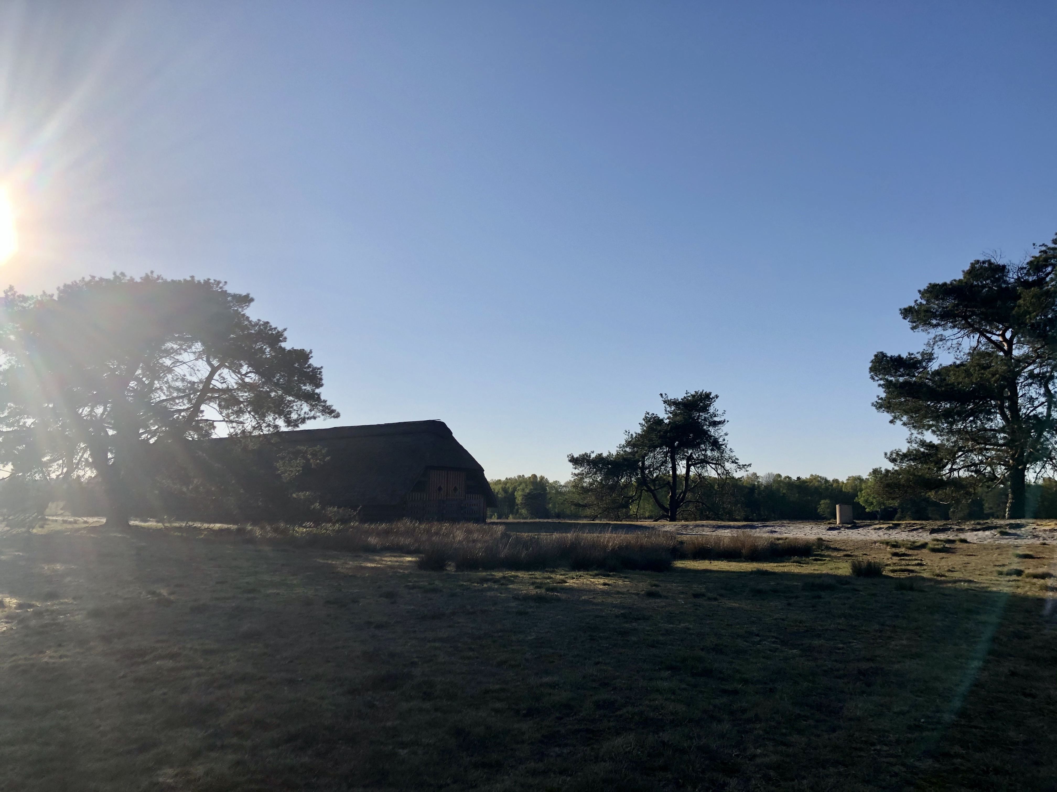 Golfhotel: Landschaft um das Hotel Heidegrund entlang der Thülsfelder Talsperre - Hotel Heidegrund