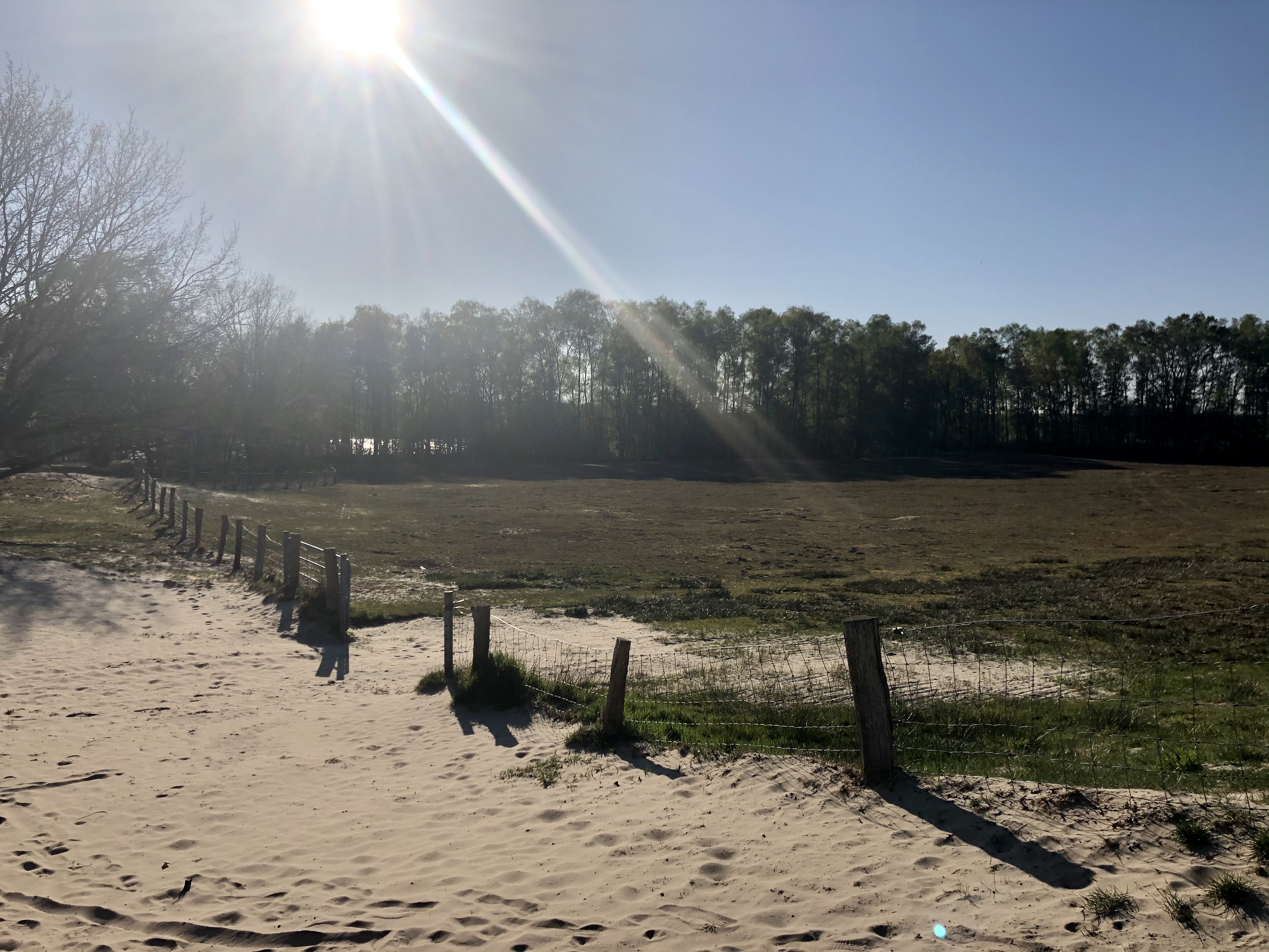 Golfhotel: Landschaft um das Hotel Heidegrund entlang der Thülsfelder Talsperre - Hotel Heidegrund