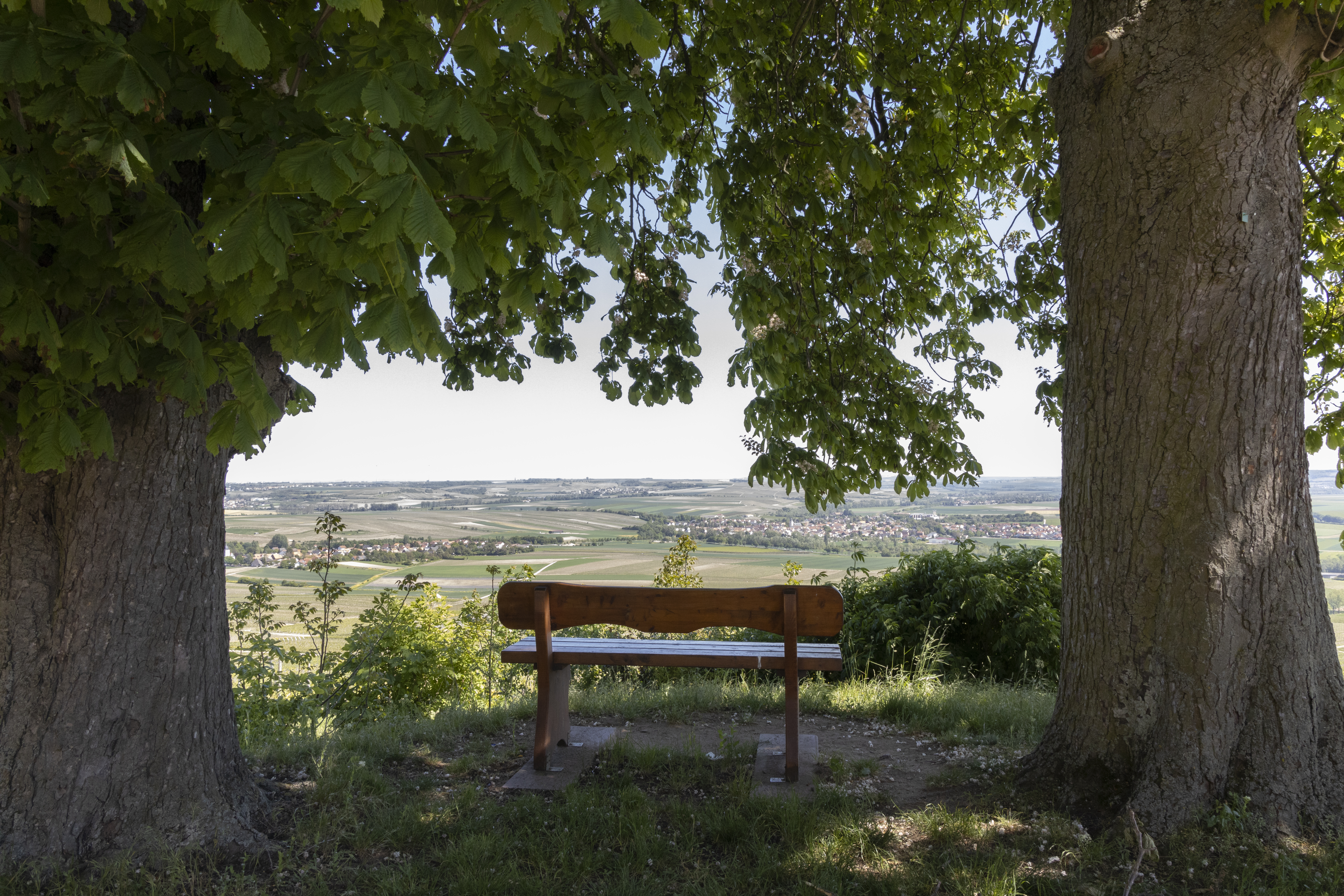Golfhotel: Hofgut Wißberg - Das Weinberghotel
